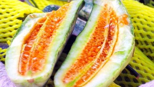 寿光文圣吃瓜,瓜香四溢的田园生活画卷