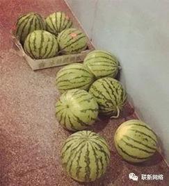 让人吃瓜,揭秘明星背后的秘密