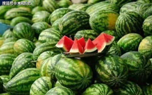 吃瓜在线全部,揭秘娱乐圈幕后故事，带你领略明星真实生活