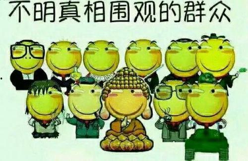 抗压陪玩吃瓜,揭秘网络娱乐新趋势