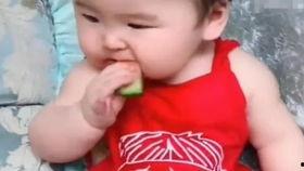 小米小宝吃瓜,揭秘娱乐圈幕后故事