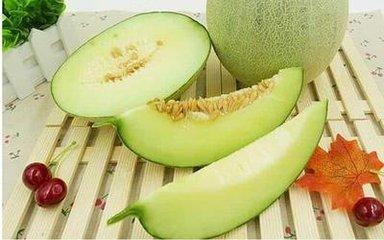 吃瓜季甜瓜视频