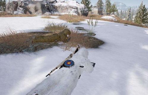 雪地媛视频吃瓜,揭秘娱乐圈幕后真相