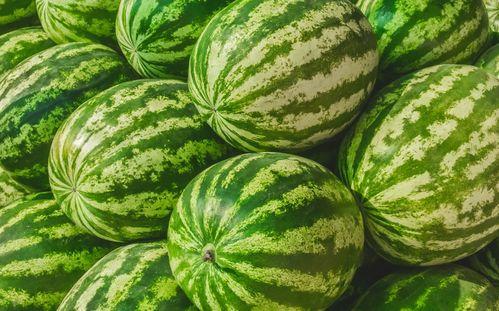 吃瓜入口在哪找