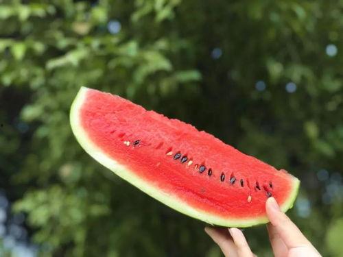 一个吃瓜的人,一场全民参与的娱乐盛宴