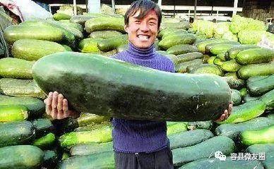 一个吃瓜的人,一场全民参与的娱乐盛宴