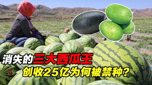 硒砂瓜无瓜柄怎么吃,美味依旧，口感升级