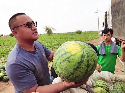 富宁吃瓜新闻,揭秘当地热点事件背后的真相与笑料