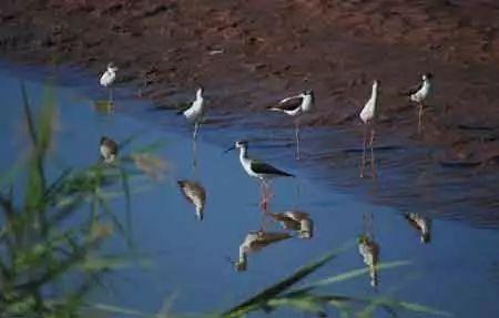 蒹葭吃瓜,揭秘娱乐圈那些不为人知的幕后故事