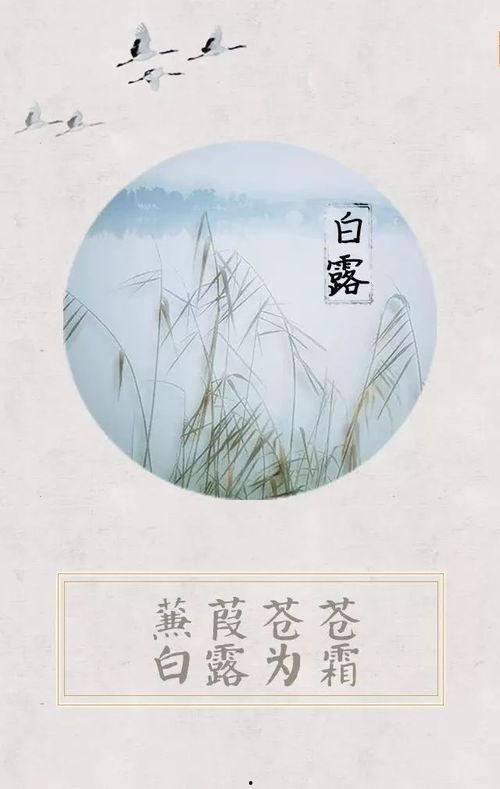 蒹葭吃瓜,揭秘娱乐圈那些不为人知的幕后故事