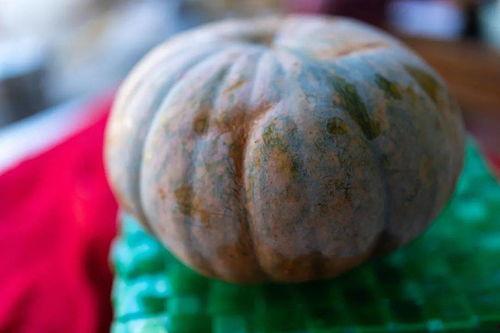 旗瓣吃瓜,揭秘瓜界新潮流