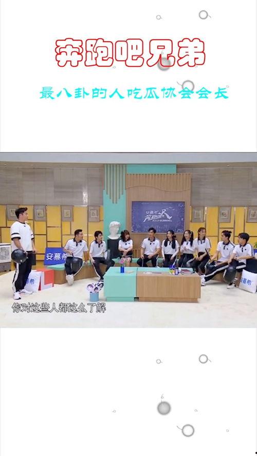 吃瓜协会社长,娱乐圈背后的那些事儿