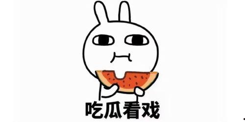 吃瓜吃太多的文案短句子