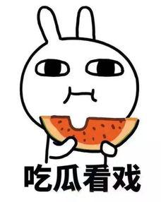 表白墙吃瓜投稿吃牛牛,表白墙吃瓜投稿背后的校园风云