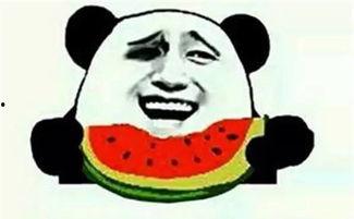 带你吃瓜征服世界