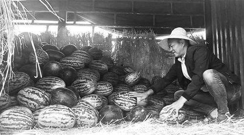 鲁山吃瓜群众,揭秘当地独特民俗风情