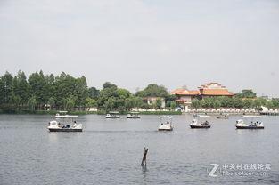 划船吃瓜景点,夏日休闲新体验