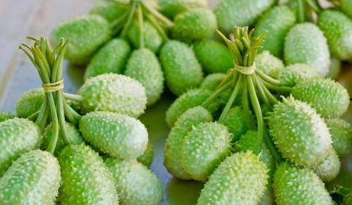 带你吃瓜全球联保,畅享全球美食之旅