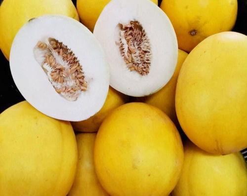 带你吃瓜全球联保,畅享全球美食之旅