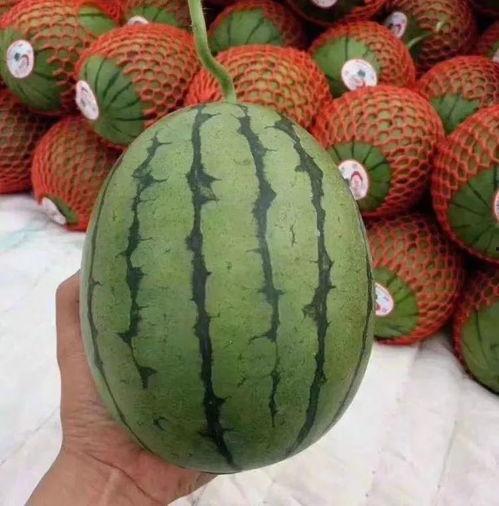 好困吃瓜,揭秘疲劳时刻的甜蜜解药