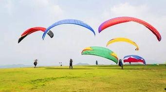 吃瓜滑翔伞,揭秘吃瓜滑翔伞的独特魅力