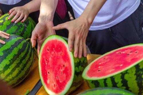 学院教授吃瓜,揭秘学院里的趣味瞬间