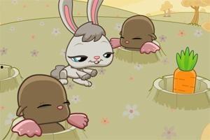 灰兔吃角瓜,灰兔的角瓜美食之旅