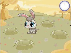 灰兔吃角瓜,灰兔的角瓜美食之旅