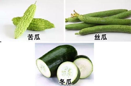 顿顿都吃瓜,顿顿都吃瓜，揭秘娱乐圈那些事儿