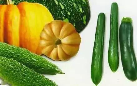 河南吃瓜老视频,揭秘民间美食背后的故事