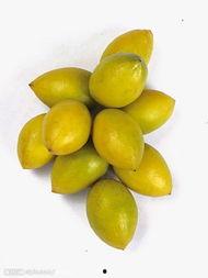 李瓜怎么吃,解锁美味新境界