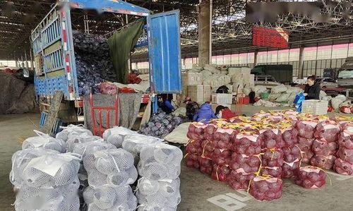 寿光城西吃瓜,瓜香四溢的夏日美食之旅