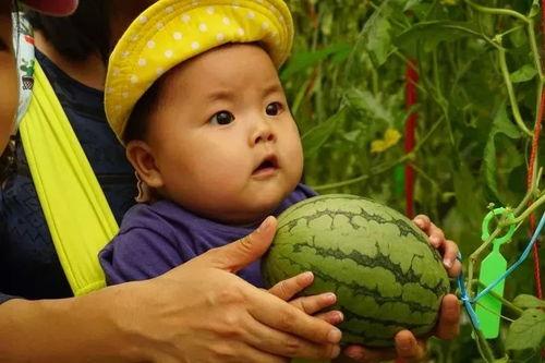 恶心的吃瓜群,网络社交的阴暗面