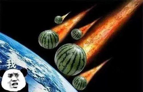 珠子直播吃瓜,一场别开生面的吃瓜盛宴