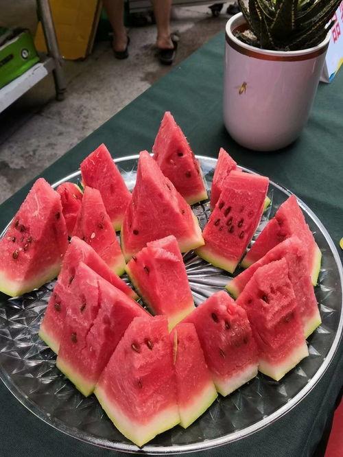 宁夏建校吃瓜,校园生活里的甜蜜与欢笑